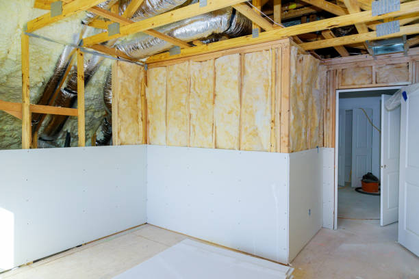 Best Cellulose Insulation in Brandon, MS
